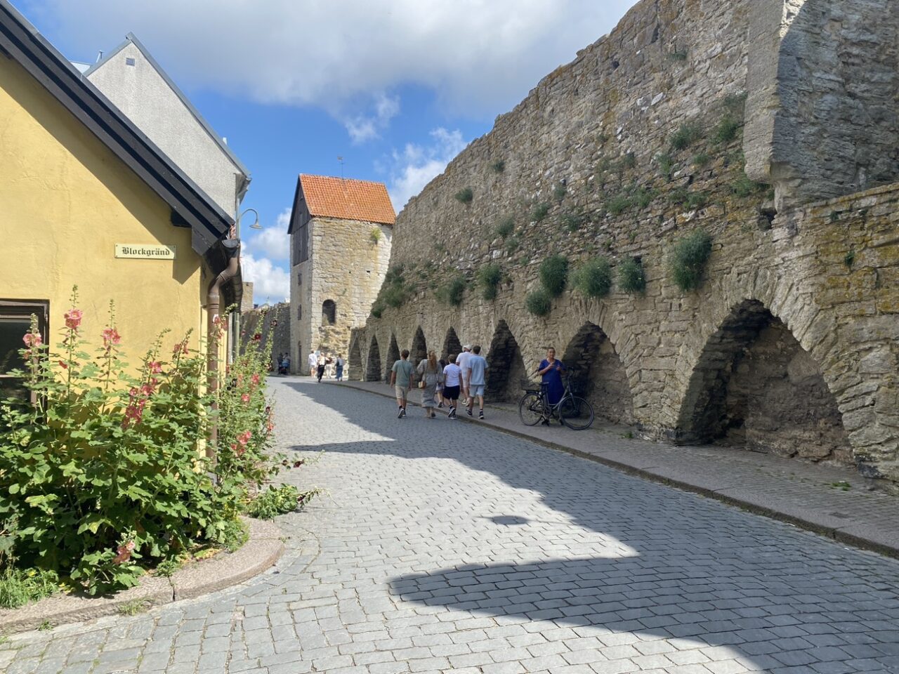 Mehr über den Artikel erfahren 23.07.25 – Letzter Tag auf Gotland